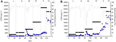 Treatment of sugarcane vinasse in AnMBR and UASB: process performance and microbial community comparison